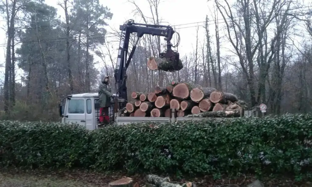 Abattage d'arbres dans le secteur de Périgueux