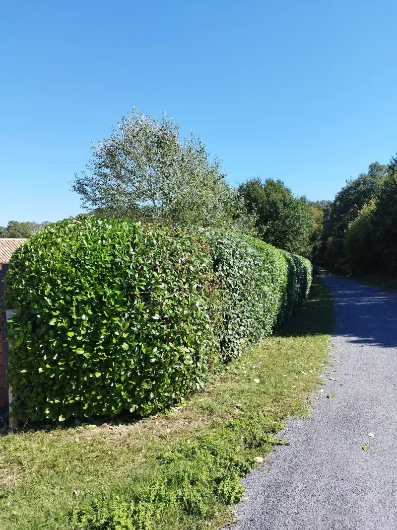 Entretien d'espaces verts sur Périgueux