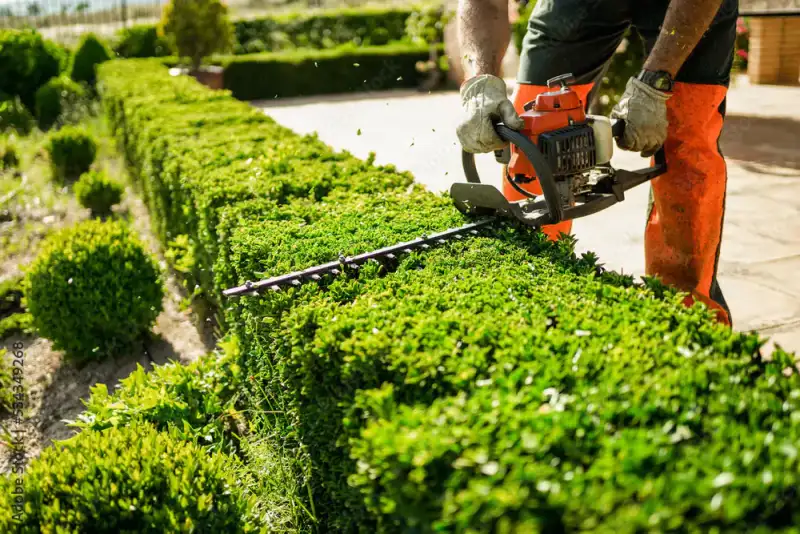 Entretien parcs et jardins